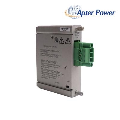 Bently Nevada 133300-01 DC Power Input Module
