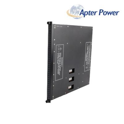 Invensys Triconex 3636R Relay Output Module
