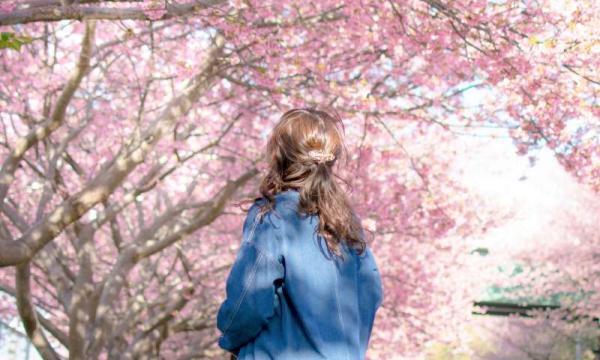 Você quer ter um encontro com a primavera?