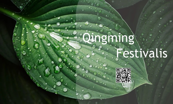 Festival Tradicional Chinês